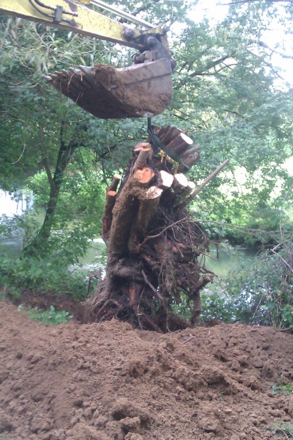 Removing a collapsed tree at Realworld - Tree Parts